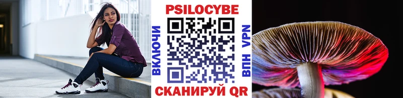 Галлюциногенные грибы мицелий блэк спрут зеркало Назарово